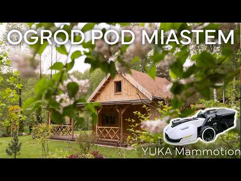 🌺 Nasz rodzinny ogród pod miastem + automatyczna kosiarka YUKA Mammotion 🍀 GARDEN TOUR