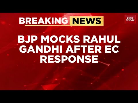 BJP Mocks Rahul Gandhi After EC Demands Proof Or Apology For Opposition Leader's Poll Claims