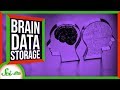 Brain Storage and Synaptic States