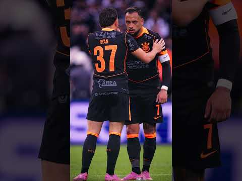 image para ilustrar o artigo