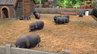 Farm Manager World trailer