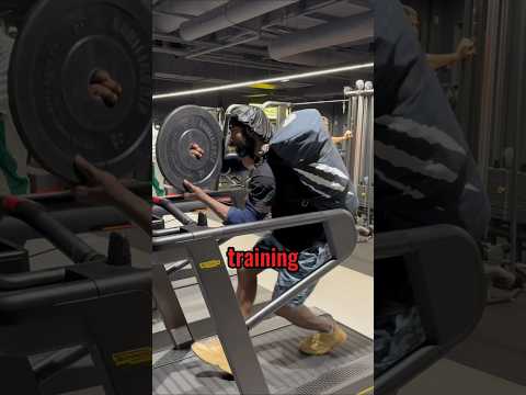 Craziest Seal Training