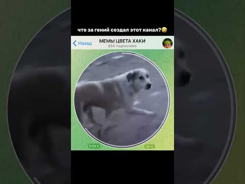 Тгк: memyiznory #мемы #прикол #кружок #мем #приколы #юмор #смешно