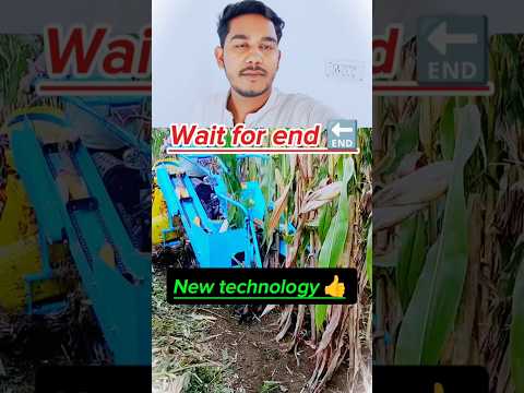 253 I like 👍 this video #reactionvideo #newvideo #dailyvlog #viralsong #youtube #viralshorts #new