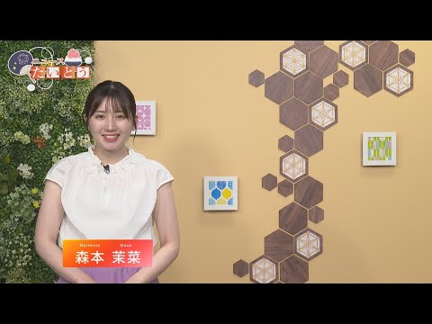 ウィークリーたいとうニュース(2025.08.03〜08.09)