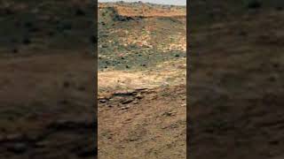 Mars Couristy Rover #mars #discovery #perseverance # #desert #curiosityrover #perseverencerover