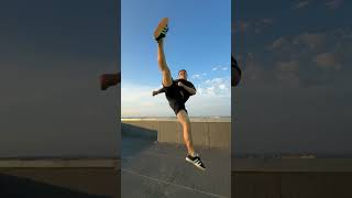 BEST Taekwondo Kicks!