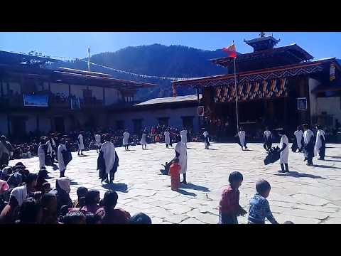 The annual black necked crane festival, Phobjikha, Bhutan2017
