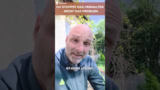 Warum reicht es nicht, das Verhalten einfach nur zu unterbrechen? 🐕‍🦺✋