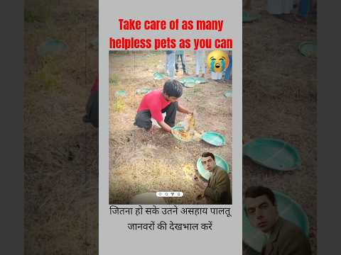 Respect this brother❤️~sigma😭 #motivation #trending #pets #shorts #viral #reels #food #quotes #short