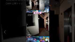 左下の手みたいな影(異変じゃないです) 何故か始まった1人しかいないマルチプレイ の2本です！ #jsp #jsp3 #霊障 ？