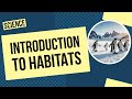 Ecosystem Roles and Interactions