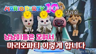 아이돌캣 총출동! 마리오파티 승자는? All Idolcat! Who is the winner?  [슈퍼 마리오 파티 3화]