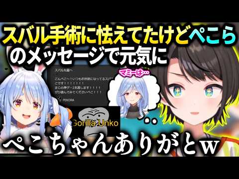 スバルぺこらから送られたゴリラうん●に気持ちが救われる【大空スバル/ホロライブ】