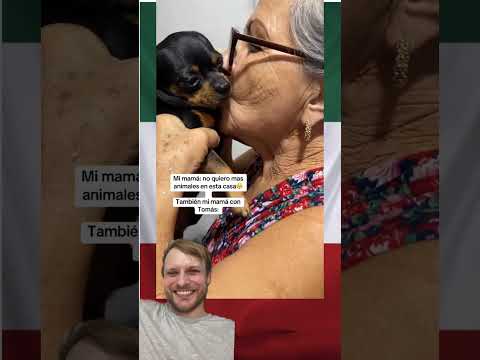 El giro inesperado de mamá con el perrito 😂🐾 #reacción
