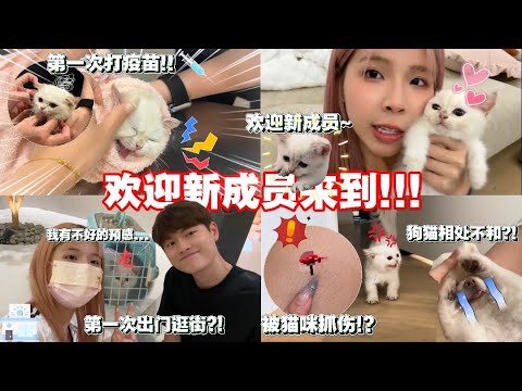 正式当个铲屎官啦!! 小时候超可爱🥺 猫狗不能和睦相处??!! //打针好可怜！