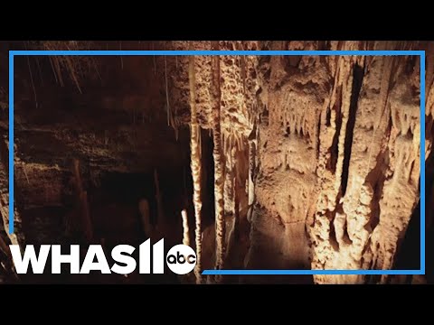 YouTube video thumbnail: Another Ancient Shark Species Discovered in Kentucky Cave