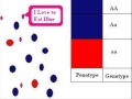 Natural Selection and Phenotypes