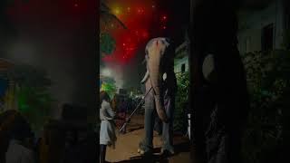 🐘കടേക്കച്ചാൽ ഗണേഷൻ🐘