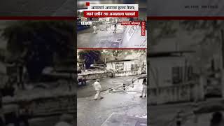 अस्वलानं अचानक हल्ला केला;  त्यानं छत्रीनं त्या अस्वलाला पळवलं