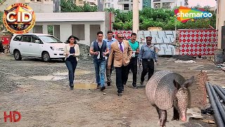 Strange Animal की Entry से फैली दहशत CID पहुंची Ground Zero पर || CID | सी.आई.डी. | Latest Episode