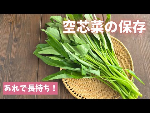 【空芯菜の保存】冷蔵＆冷凍保存の方法をご紹介します。アジア料理には欠かせない炒め物に合う野菜です