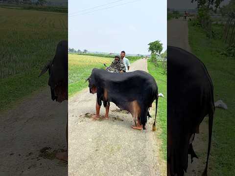 😂😂😂😂 #funnyclip #farming #cneᴅɪᴛᴢ