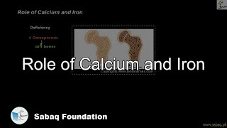 Role of Calcium and Iron
