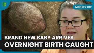 First Time Mum Ava Gives Birth Overnight Surprise | Monkey Life