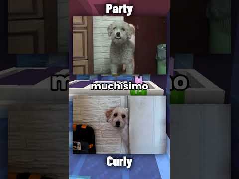 ¿Qué pasó con Party? Curly NO era el único… #fernanfloo #curly