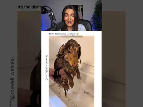 THIS DOG GAVE A LOOK OF BETRAYAL.. 😭