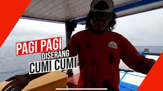 Pagi-Pagi Kena Semprot Cumi