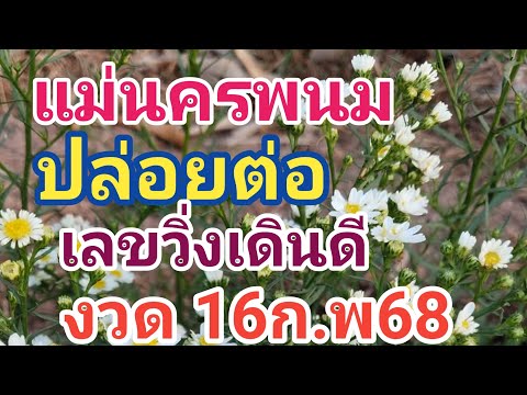 แม่นครพนม เลขวิ่งเดินดี ปล่อยต่อ ฟังให้จบ 16ก.พ68