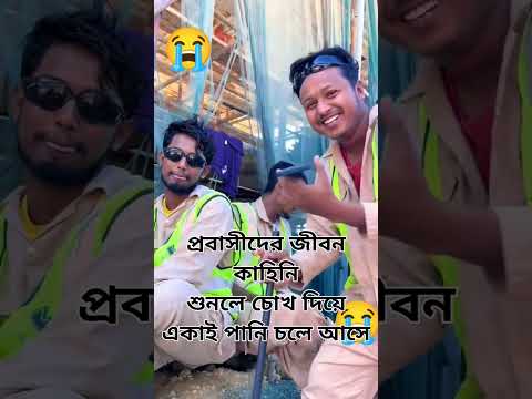প্রবাসীদের জীবন কাহিনি শুনলেই চোখ দিয়ে একাই পানি চলে আসে 😭 হায় রে প্রবাস 😭😭