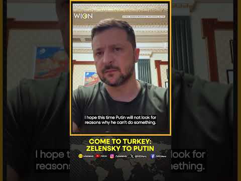 Russia-Ukraine War: Zelensky Wants To Talk To Putin 'Personally 'Come To Turkey' | WION Shorts