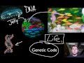 Exploring the Essential Characteristics of Life
