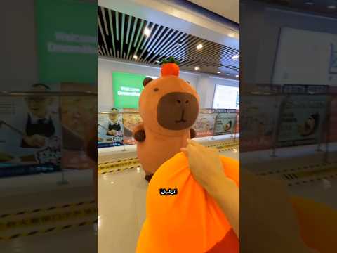 🐢🧢 قبعة السلحفاة الضائعة 🐼 #shorts #ytshorts #funny