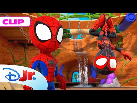 MARVEL SPIDEY Y SU SUPEREQUIPO: La casa del árbol | @DisneyJuniorES