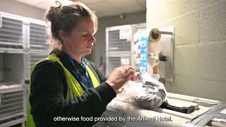 Discover our AMS Animal Hotel