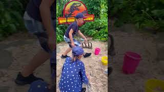 Playtime! Clark Dinosaurs Island #shorts #dinosaursisland #themepark #jurassic