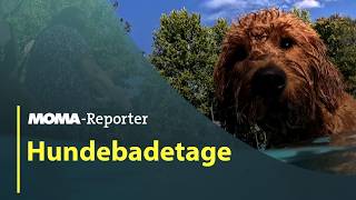 MOMA-Reporter: Hundebadetage in Freibädern | ARD Morgenmagazin