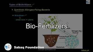 Bio-Fertilizers