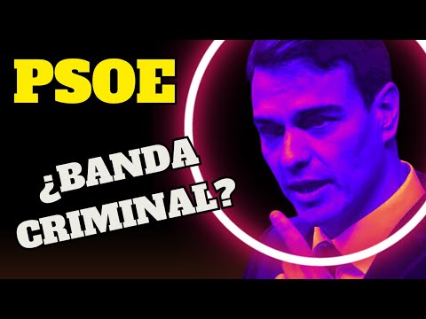 La UCO acusa al PSOE de banda criminal… ¿y no pasa nada? | WALTER GARCÍA lo explica