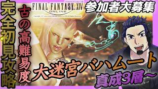 【#ff14  】part.25 完全初見！大迷宮バハムート！！真成3層～！！ 6/8  © SQUARE ENIX
