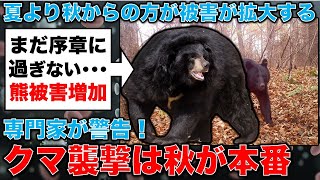 専門家が警告！クマ襲撃は秋が本番。クマ研究者、兵庫県立大学横山真弓教授。安冨歩東京大学名誉教授。一月万冊