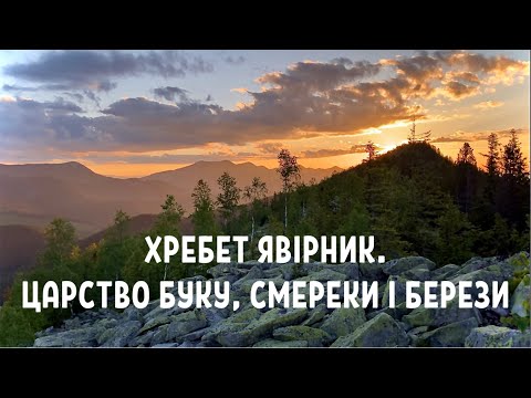 Похід на хребет Явірник. Царство буку, смереки і берези. Маршрут на Явірник-Ґорґан (1467 м.)