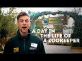 A Day in the Life of a Zookeeper