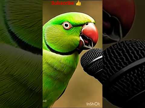 "तोता का प्यार"🥰#shortvideos #youtubeshorts #aistory #trendingshorts #lovestory