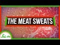 Understanding the Science Behind Meat Sweats