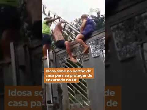 Idosa de 80 anos sobe no portão de casa para se proteger de enxurrada no DF #Shorts #FalaBrasil